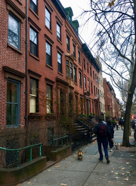 The rowhouse on the left with cream-colored shutters is 261 Henry St., which an LLC purchased in an estate sale. Eagle photo by Lore Croghan