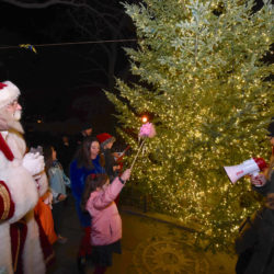 Fifth-generation Brooklynite Carmen Alperin-Lowe waves the magic wand to light the tree, cheered on by (left to right:) Santa, her mother Melissa Alperin and Amerika Williamson of the Garden Club.