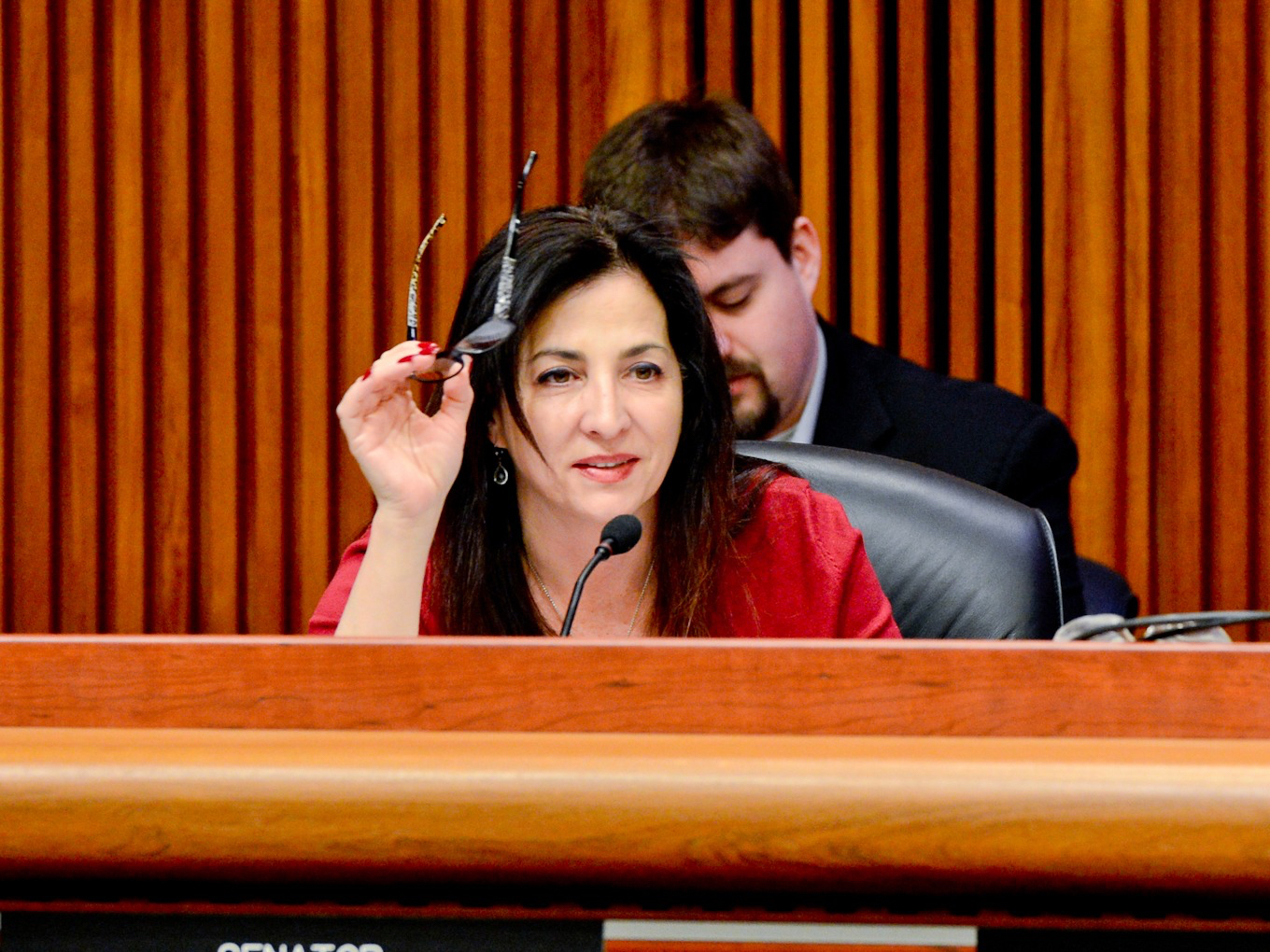 State Sen. Diane Savino, a former member of the Independent Democratic Conference, avoided being shut out of committee assignments. She has been tapped to chair the Subcommittee on Internet and Technology. Photo courtesy of Savino’s office
