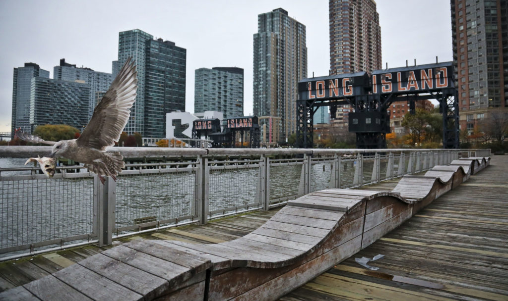 A seagull flies off holding fish scraps near a former dock facility, with "Long Island" painted on old transfer bridges at Gantry State Park in Long Island City. New York officials say their deal to land a new Amazon headquarters is a big win for the city, but the math is a little more complicated than government projections indicate. AP Photo/Bebeto Matthews, File