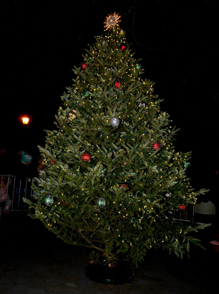Bay Ridge celebrated its first of many tree lightings this holiday season at Shore Road. Eagle photo by Arthur de Gaeta