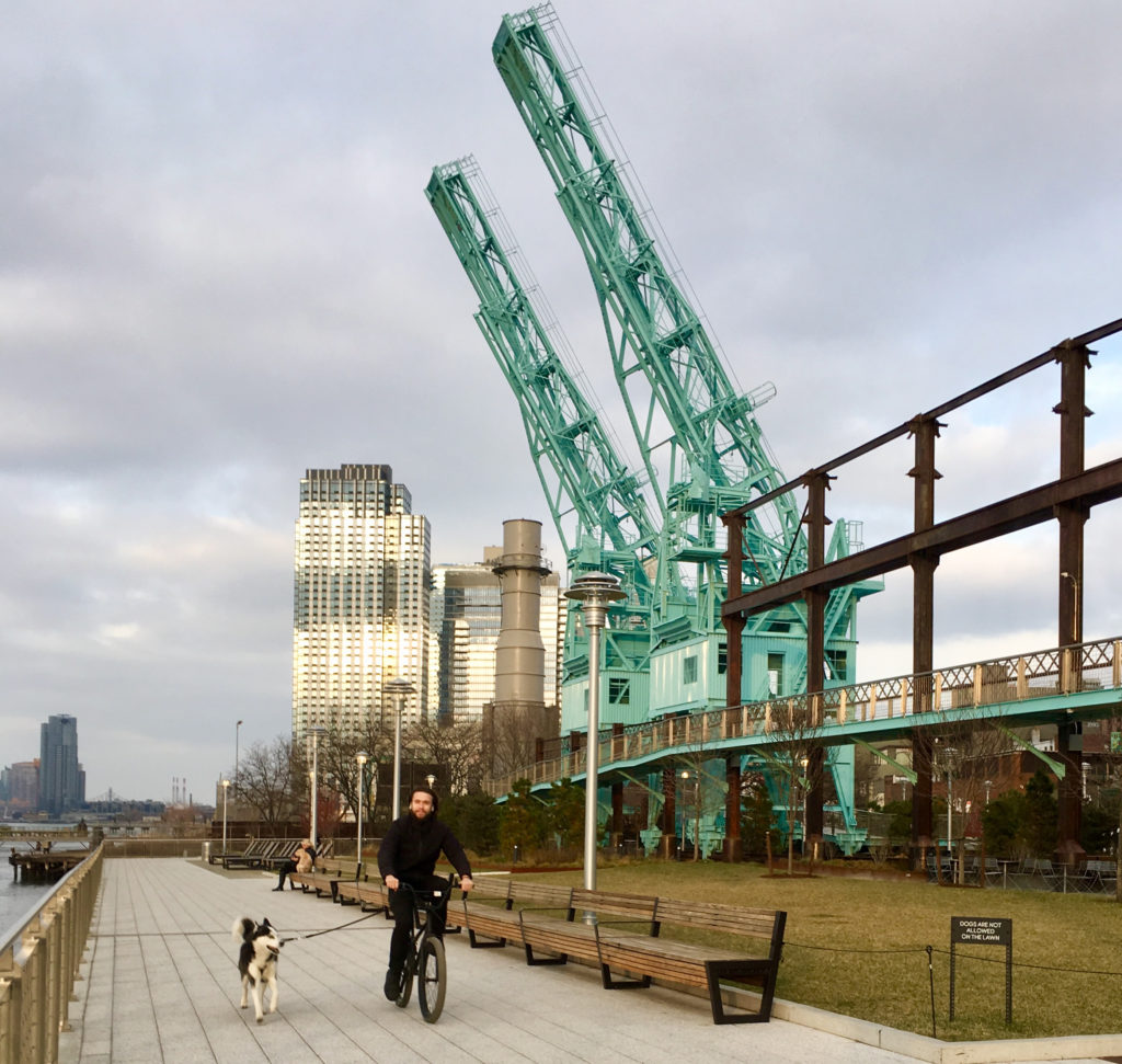 Gantry cranes reach for the sky in Williamsburg's Domino Park. Eagle photos by Lore Croghan