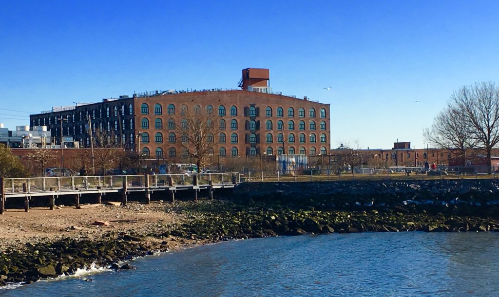 Come take a winter walk along Red Hook's waterfront. Eagle photos by Lore Croghan