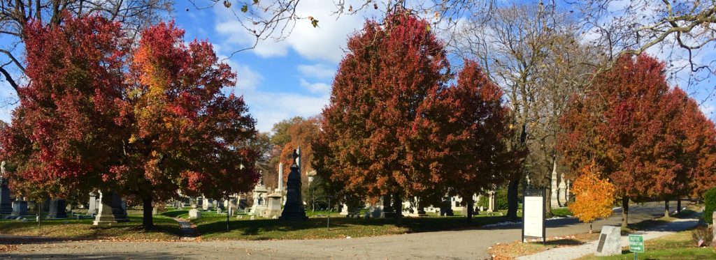Green-Wood Cemetery’s trees capture and store about 250,000 pounds of atmospheric carbon annually. Eagle file photo by Lore Croghan