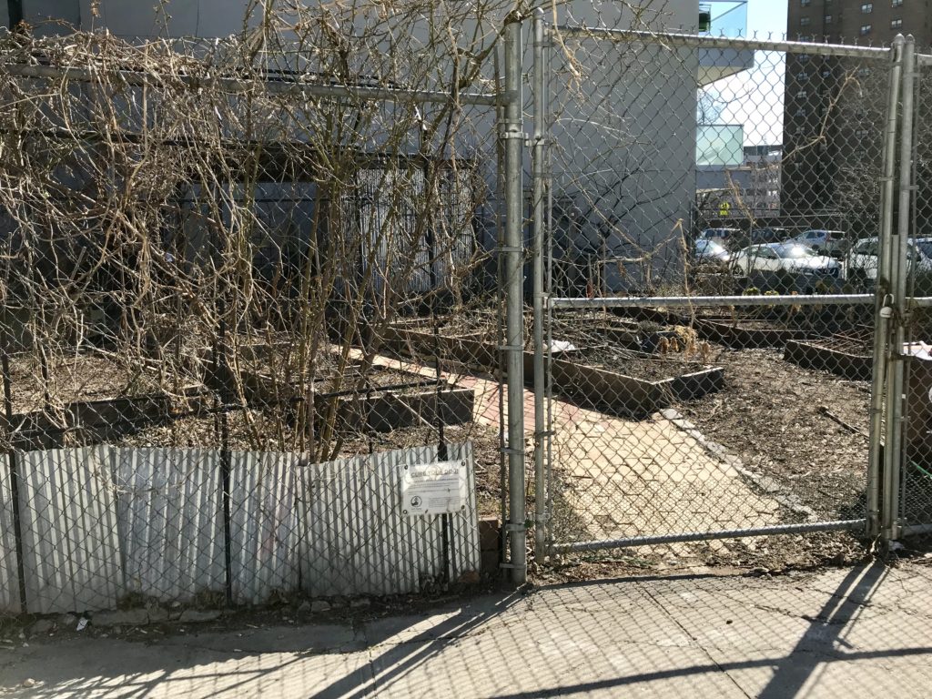 Residents can vote to fund local projects starting March 30 through participatory budgeting in New York City. One project in Councilmember Stephen Levin’s District would outfit the Vinegar Hill Community Garden with water and electricity. Eagle photo by Mary Frost.