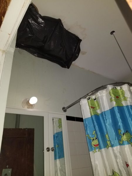 Tenants at the three buildings on Flatbush Ave. allege that the landlord often refuses to do repairs in their apartments. Photo courtesy of Brooklyn Legal Services.