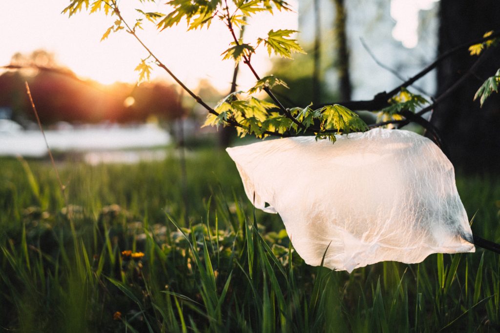 Gov. Andrew Cuomo signed a bill banning single-use plastic bags in New York, which goes into effect on March 1, 2020. Photo via pexels