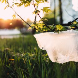 Gov. Andrew Cuomo signed a bill banning single-use plastic bags in New York, which goes into effect on March 1, 2020. Photo via pexels