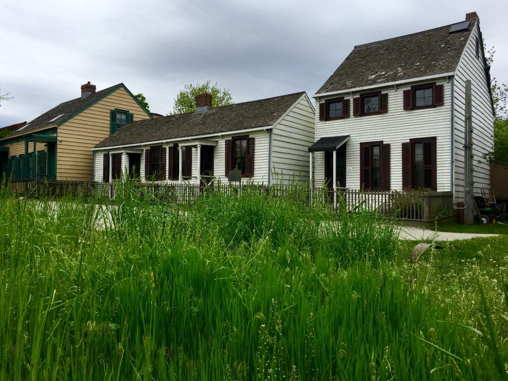 Historic houses at Weeksville Heritage Center. Eagle photo by Lore Croghan