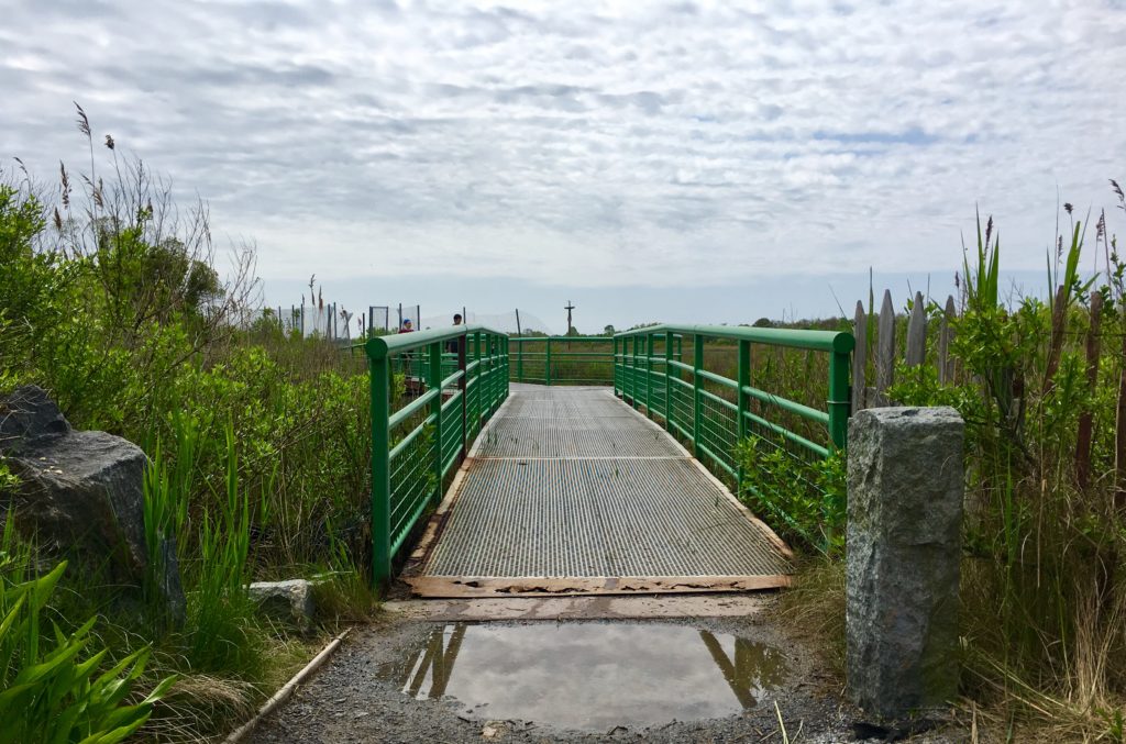 This footbridge is in a picturesque spot near Salt Marsh Nature Center. Eagle photo by Lore Croghan