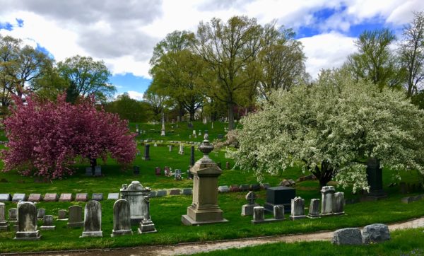 Flowering trees brighten this view of gravestones near Vista Avenue. Eagle photo by Lore Croghan