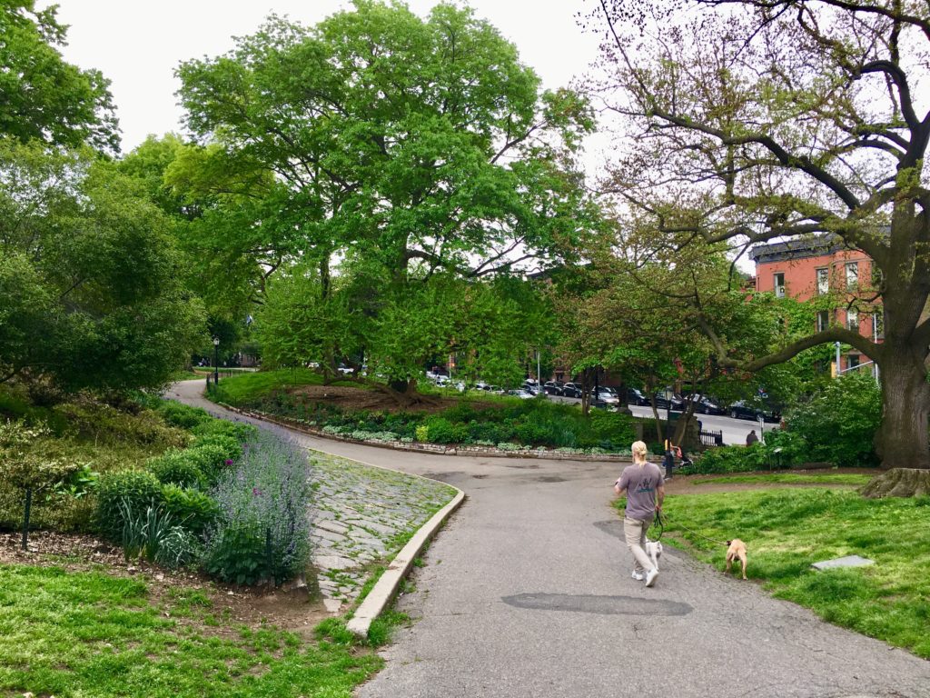 The spring foliage looks so fine at Fort Greene Park. Eagle photo by Lore Croghan