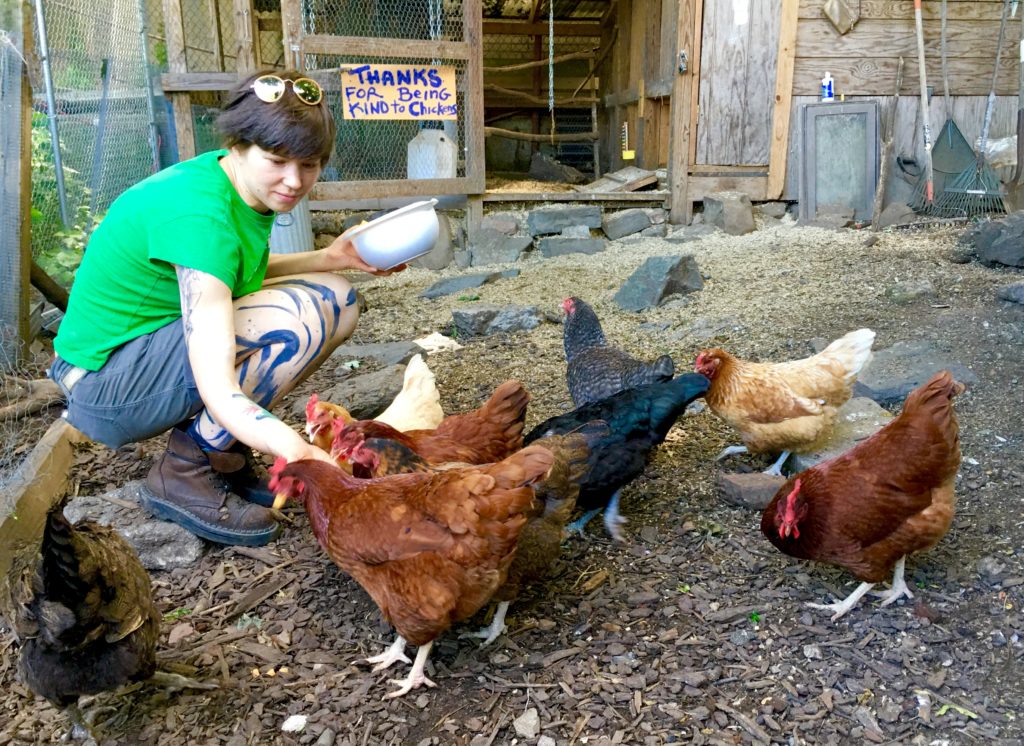 Masha Bezlepkina feeds the hens at Imani Community Garden in Crown Heights. Eagle photo by Lore Croghan