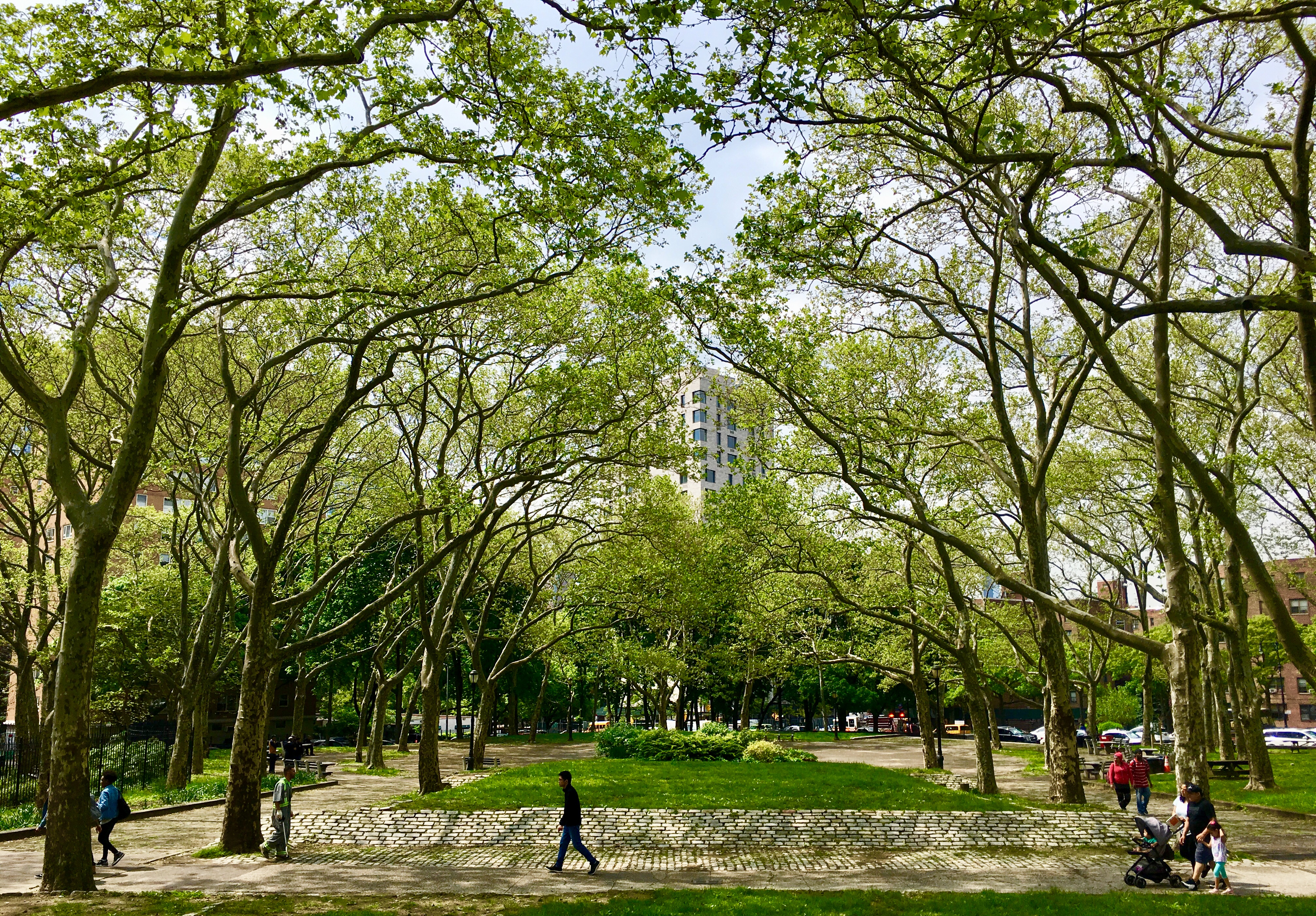 The tower seen through Fort Greene Park’s trees is 112 St. Edwards St. Eagle photo by Lore Croghan