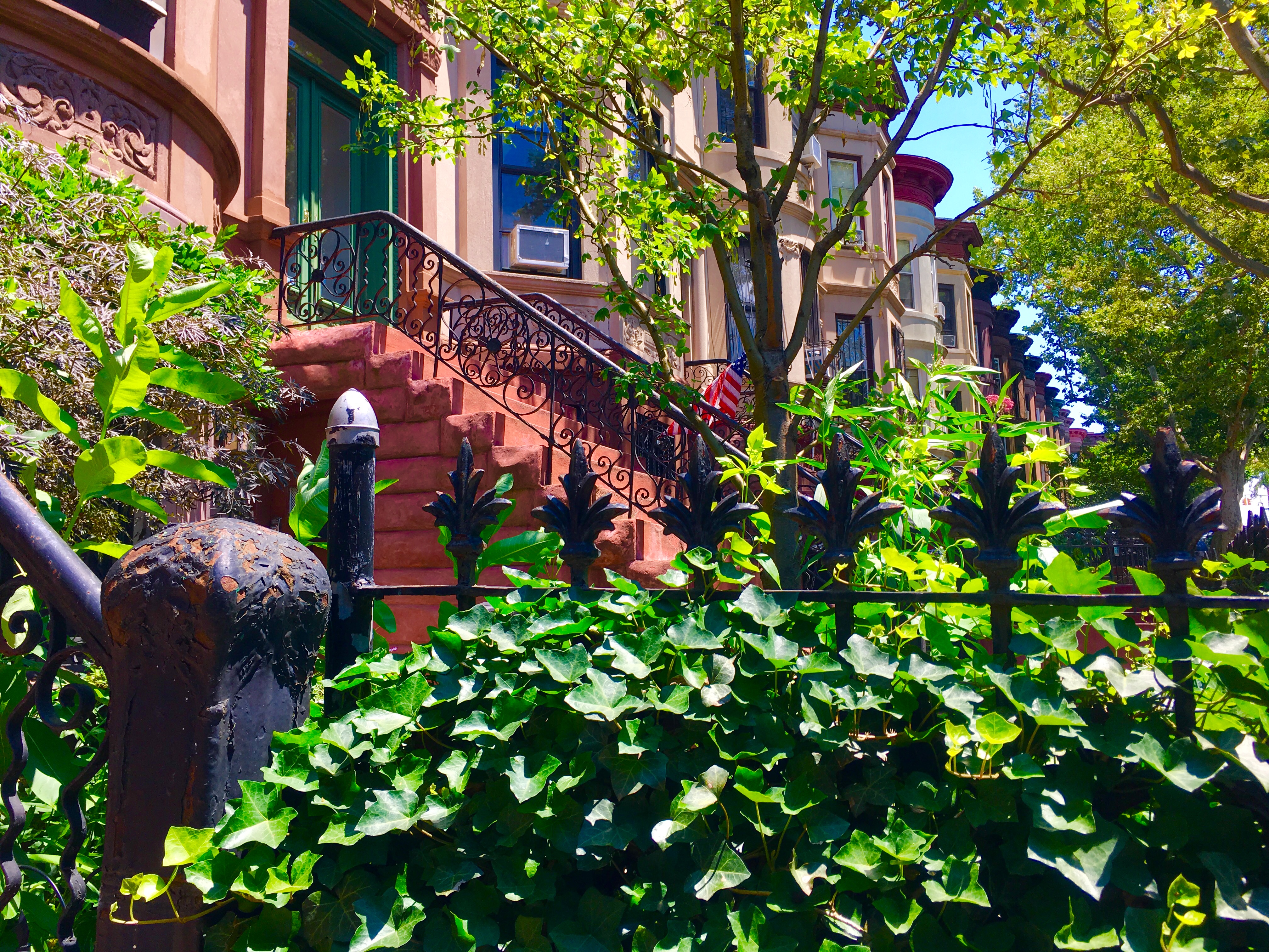 Ivy frames a view of 47th Street in the Central Sunset Park Historic District. Eagle photo by Lore Croghan