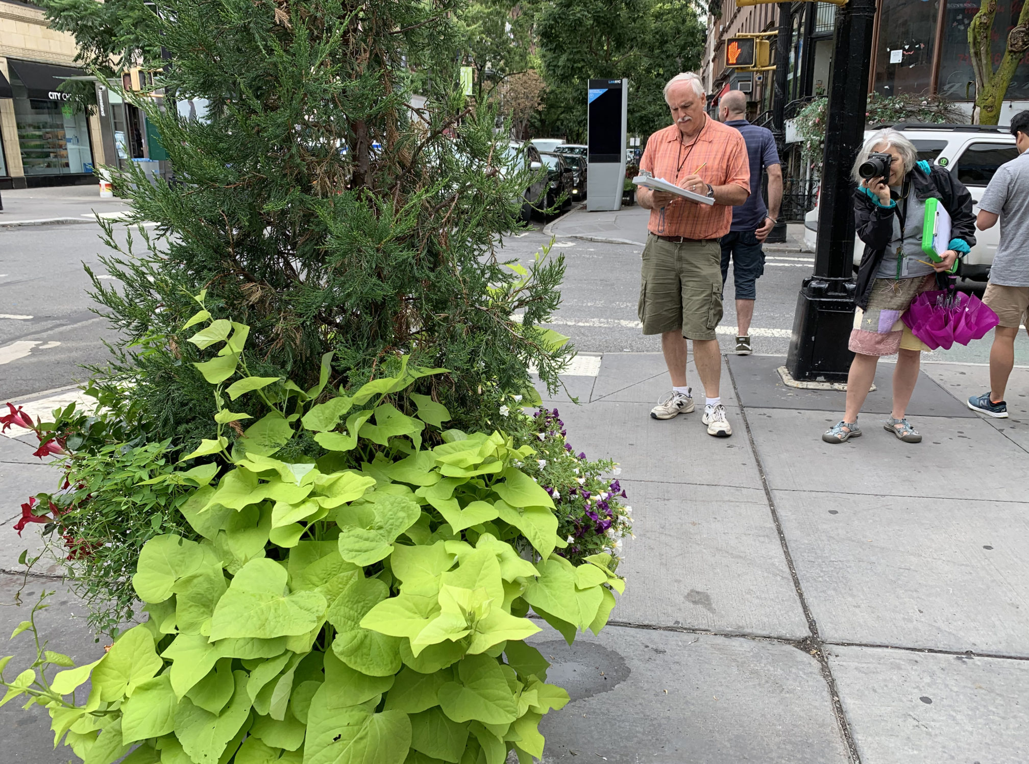 Mark Fisher and Nina Browne, judges for the Greenest Block in Brooklyn contest, rate this Montague Street planter. Montague Street made the final round. Eagle photo by Mary Frost