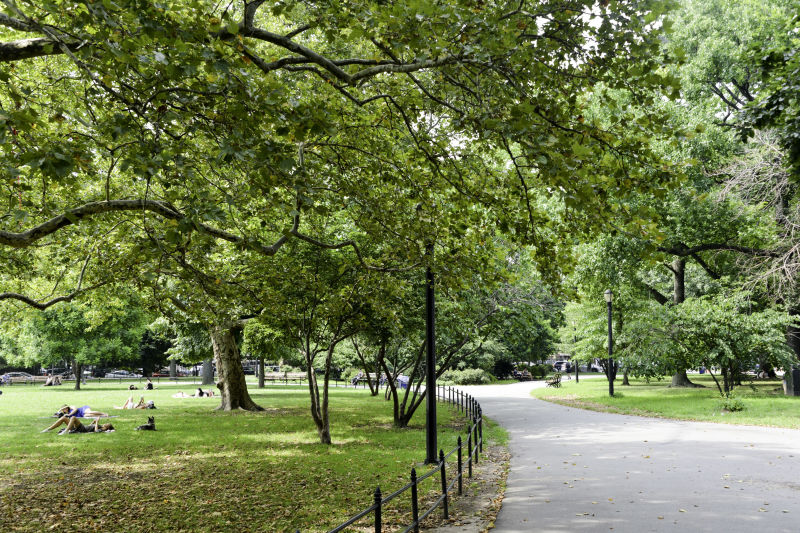 Here's where you should set up the BBQ materials this Fourth of July. Photo via NYC Parks