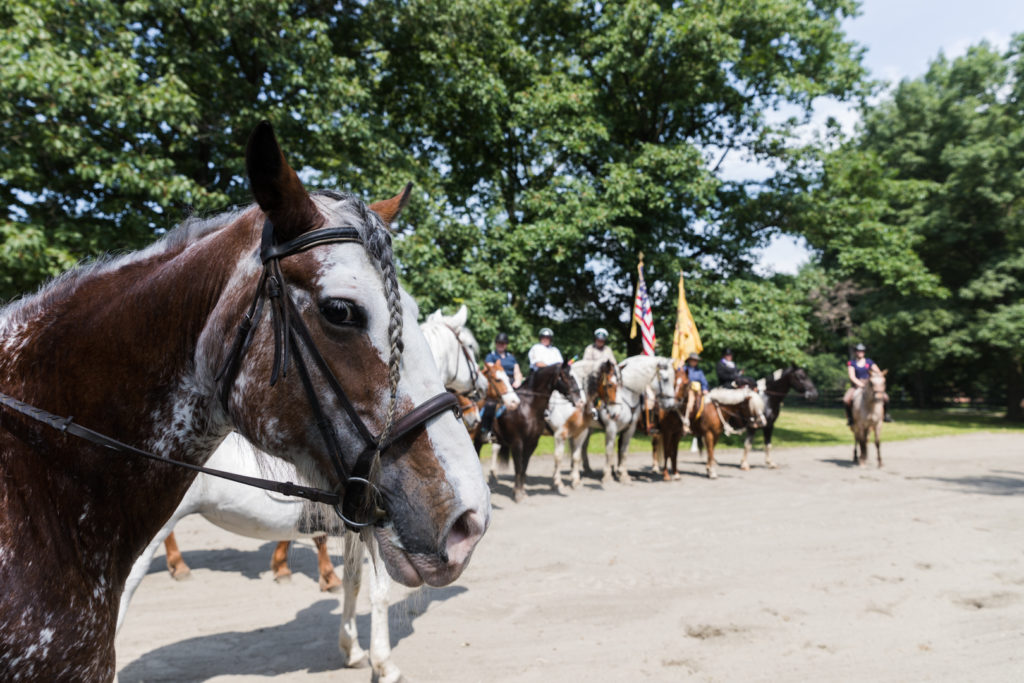 More than a dozen horses gathered at the “Q equine area,” for the horse rally. Eagle photo by Paul Frangipane