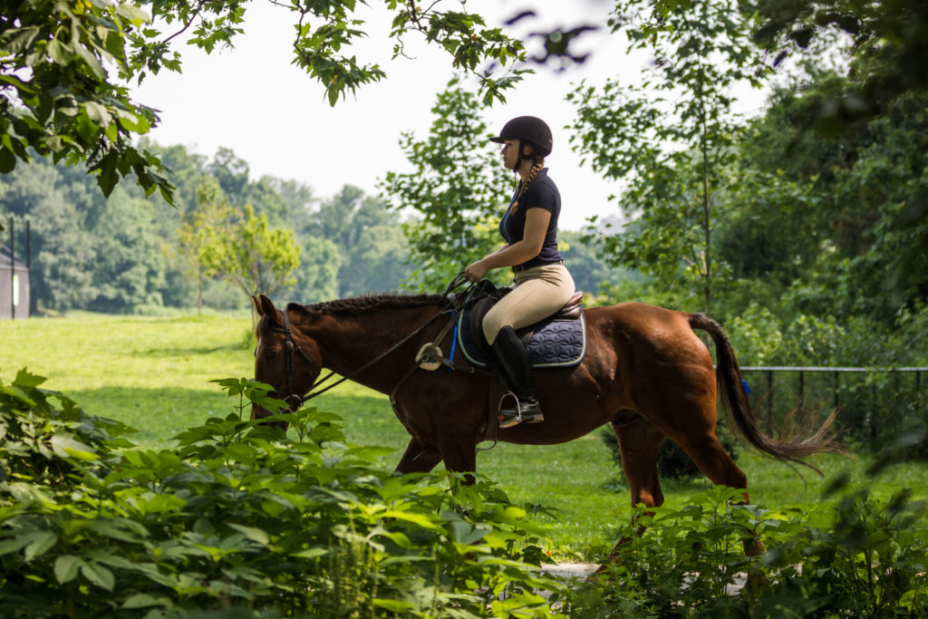 A rider from the Prospect Park Stable makes her way up to the riding circle. Eagle photo by Paul Frangipane