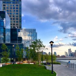Here’s a lovely snippet of lawn behind Spitzer Enterprises’ new South Williamsburg towers. Eagle photo by Lore Croghan