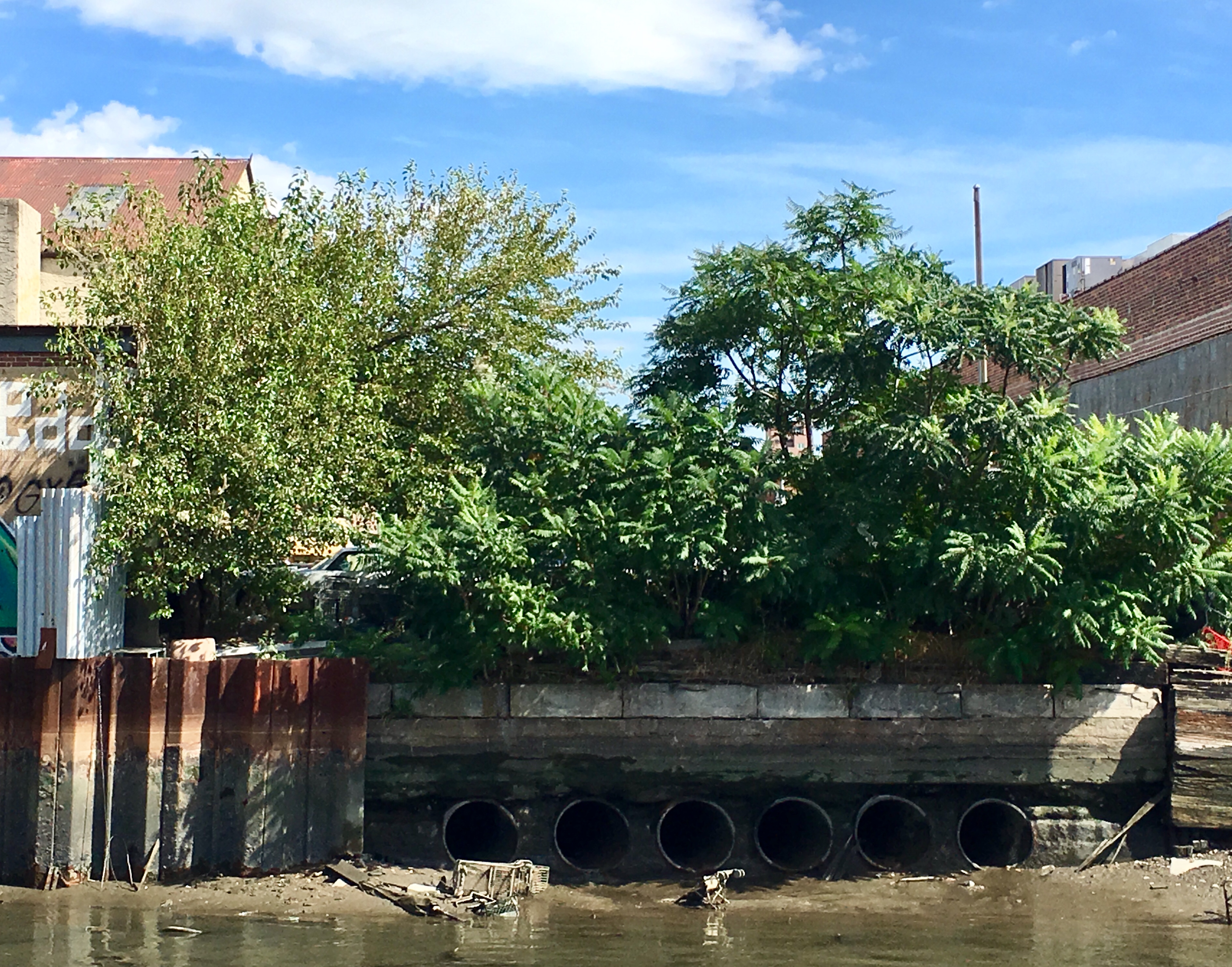The Gowanus Canal shoreline at the end of Degraw Street is littered with debris including two shopping carts, a baby carriage and a chair. 
