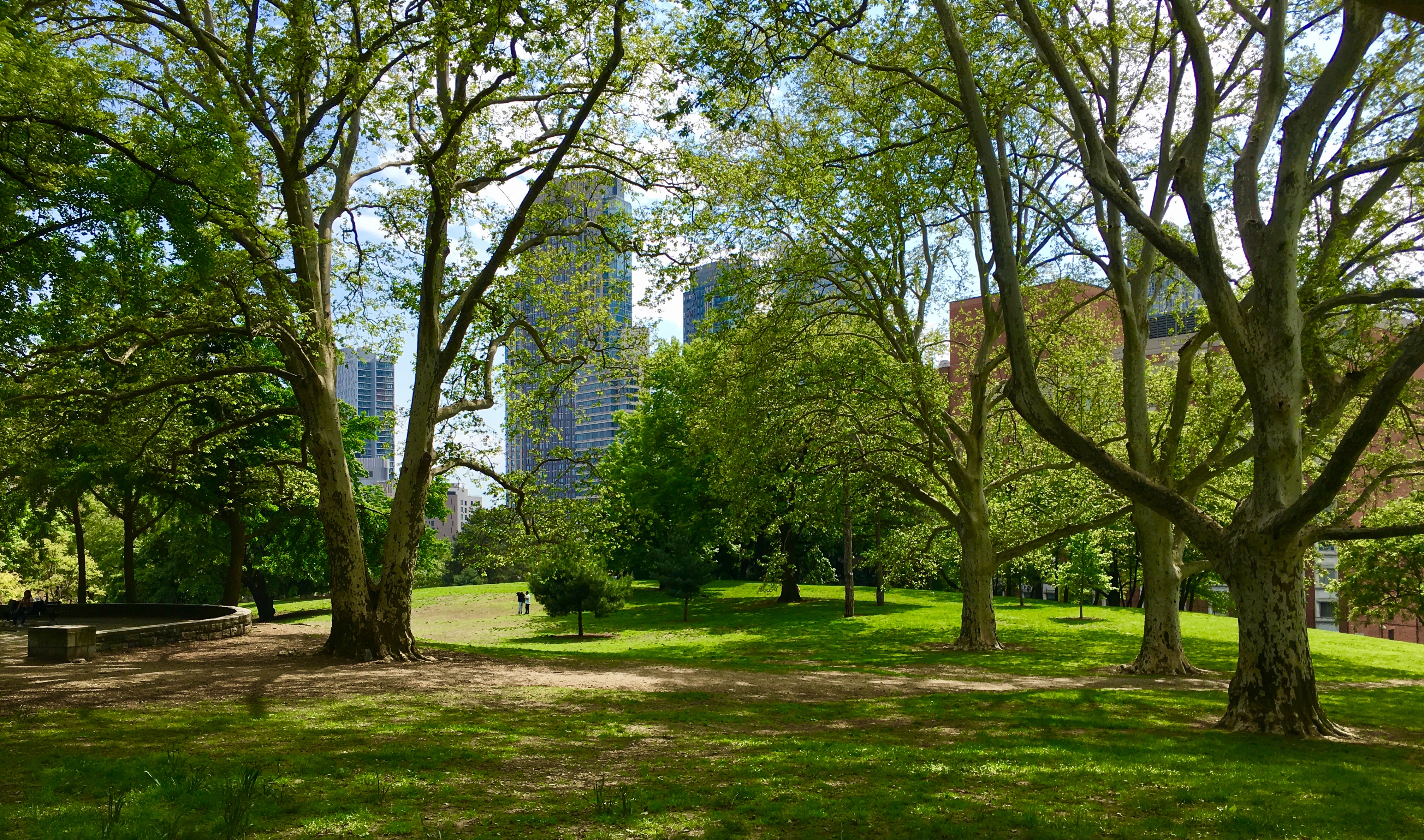 Mature trees shouldn’t be removed from Fort Greene Park, the Sierra Club and neighboring residents contend. Eagle photo by Lore Croghan