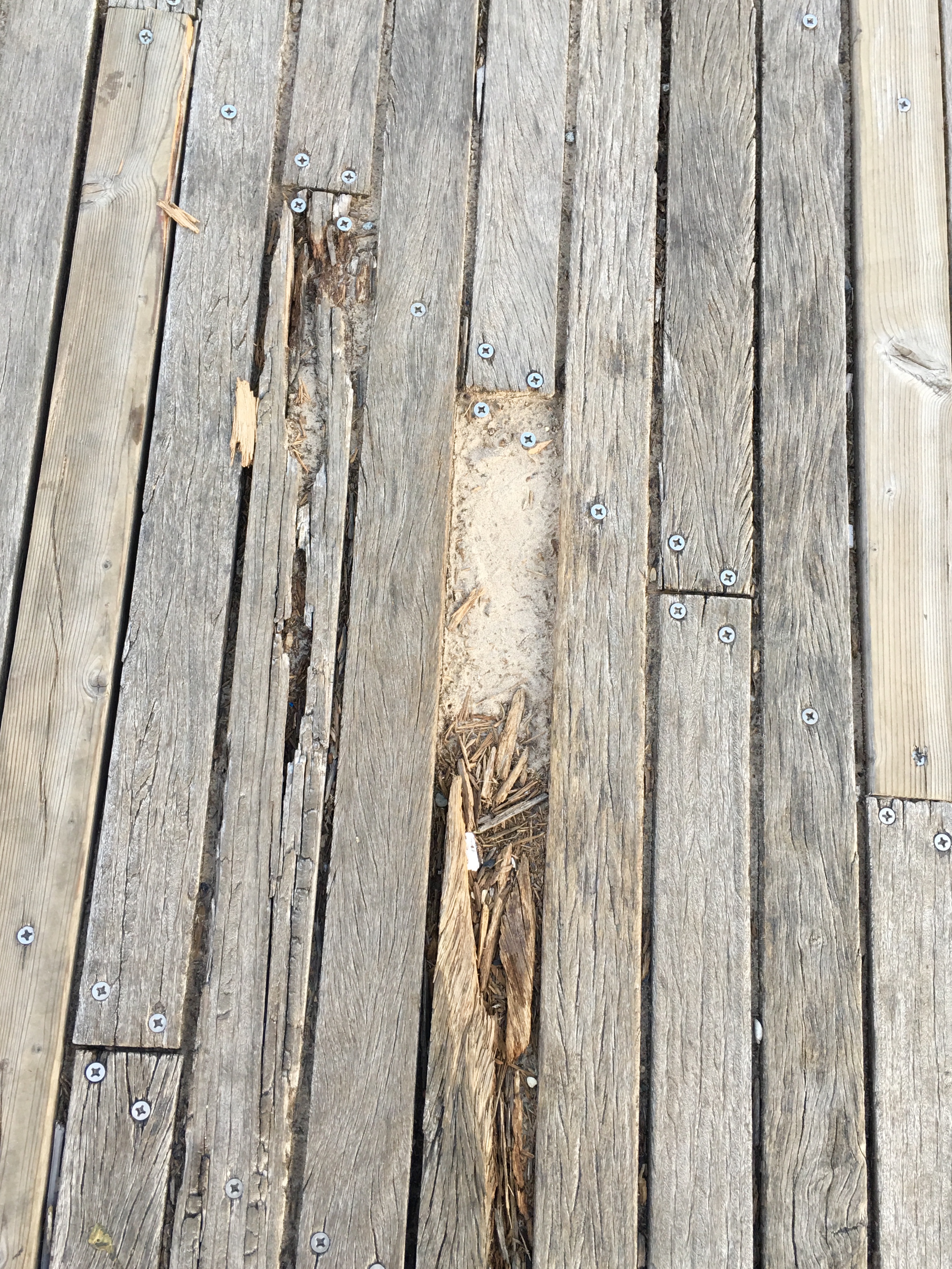 There are numerous broken Boardwalk planks near Coney Island Avenue. Eagle photo by Lore Croghan