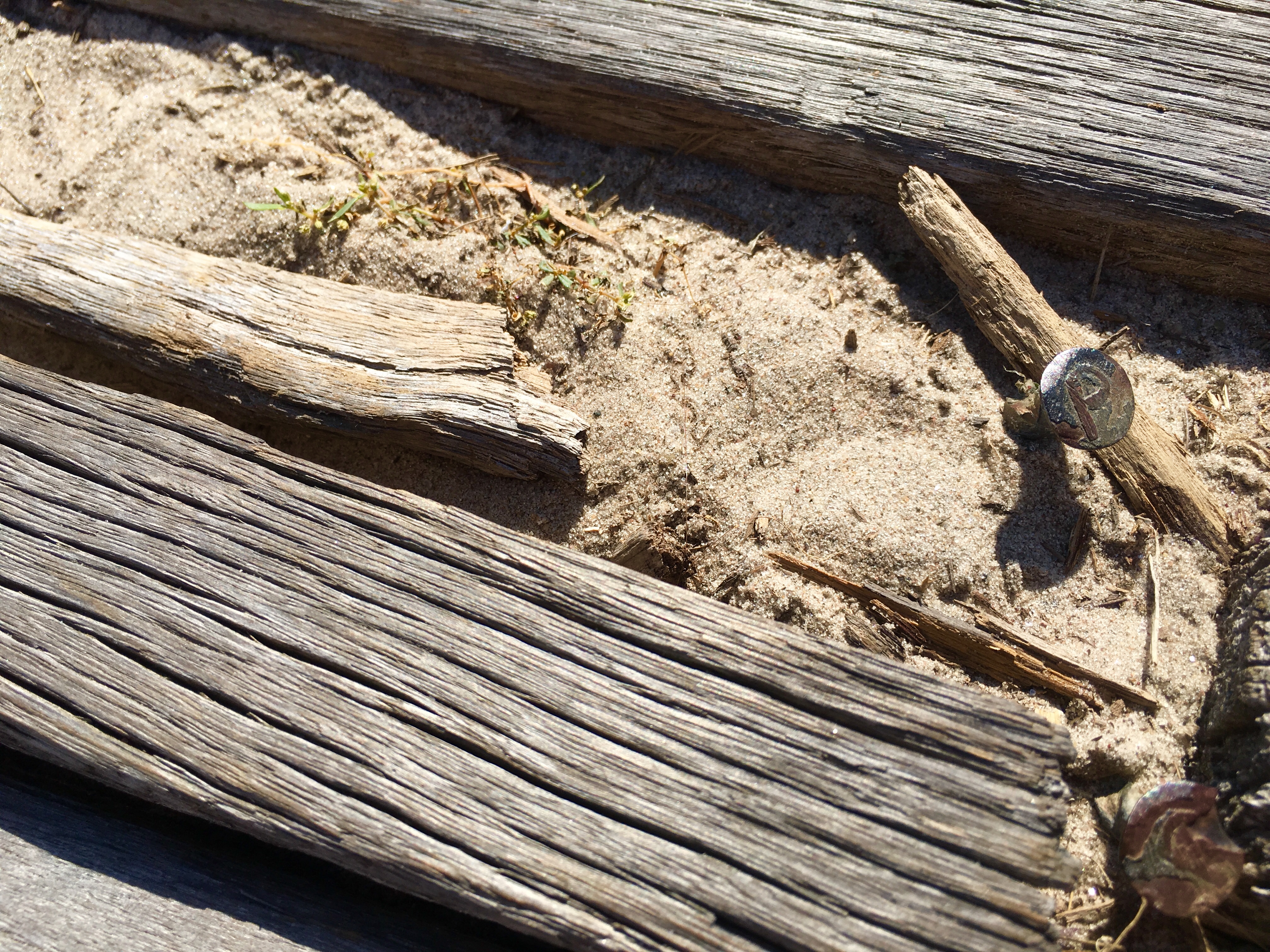 There are exposed nails on the Boardwalk near the Coney Island Aquarium. Eagle photo by Lore Croghan