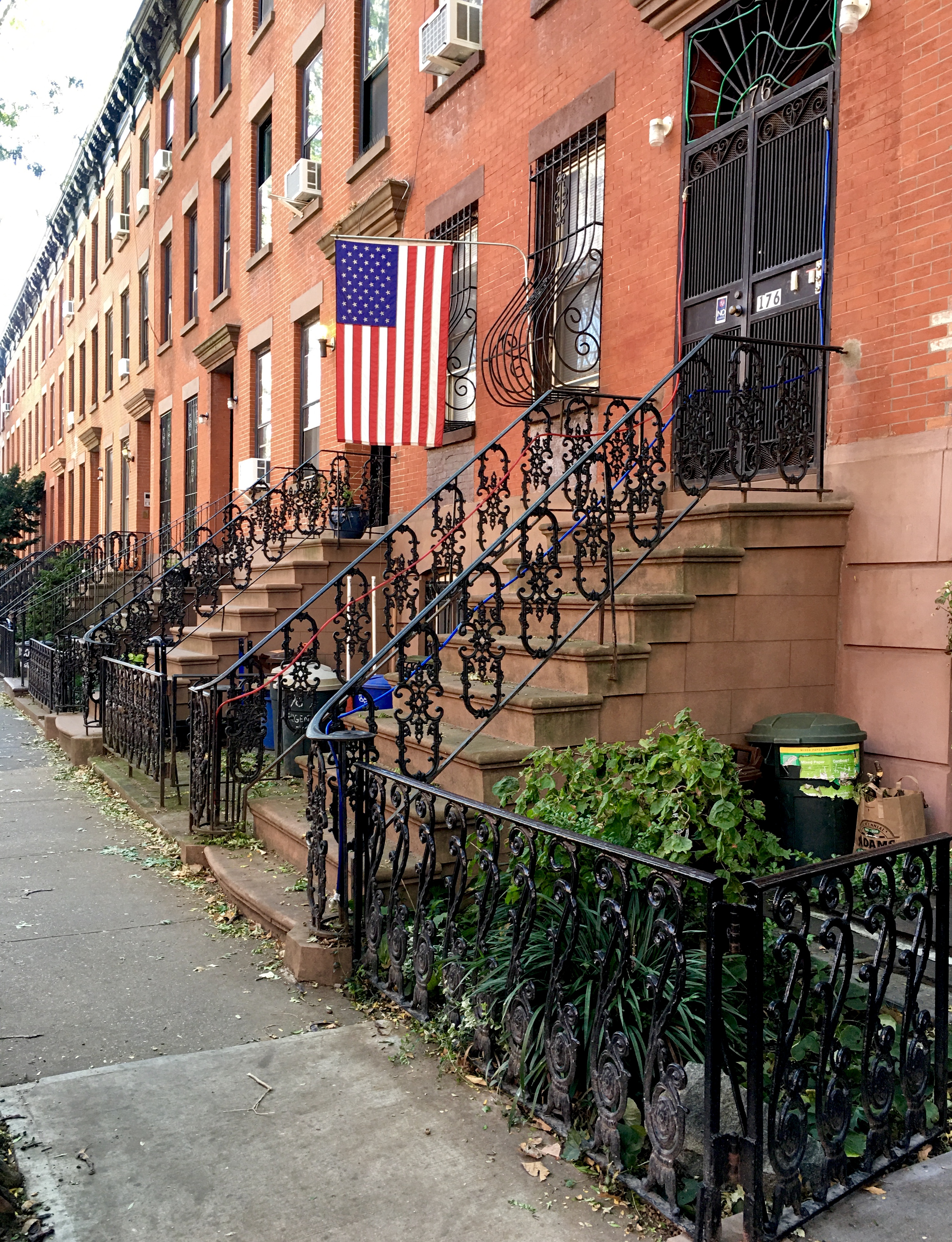 Long may it wave — in the Boerum Hill Historic District. Eagle photo by Lore Croghan