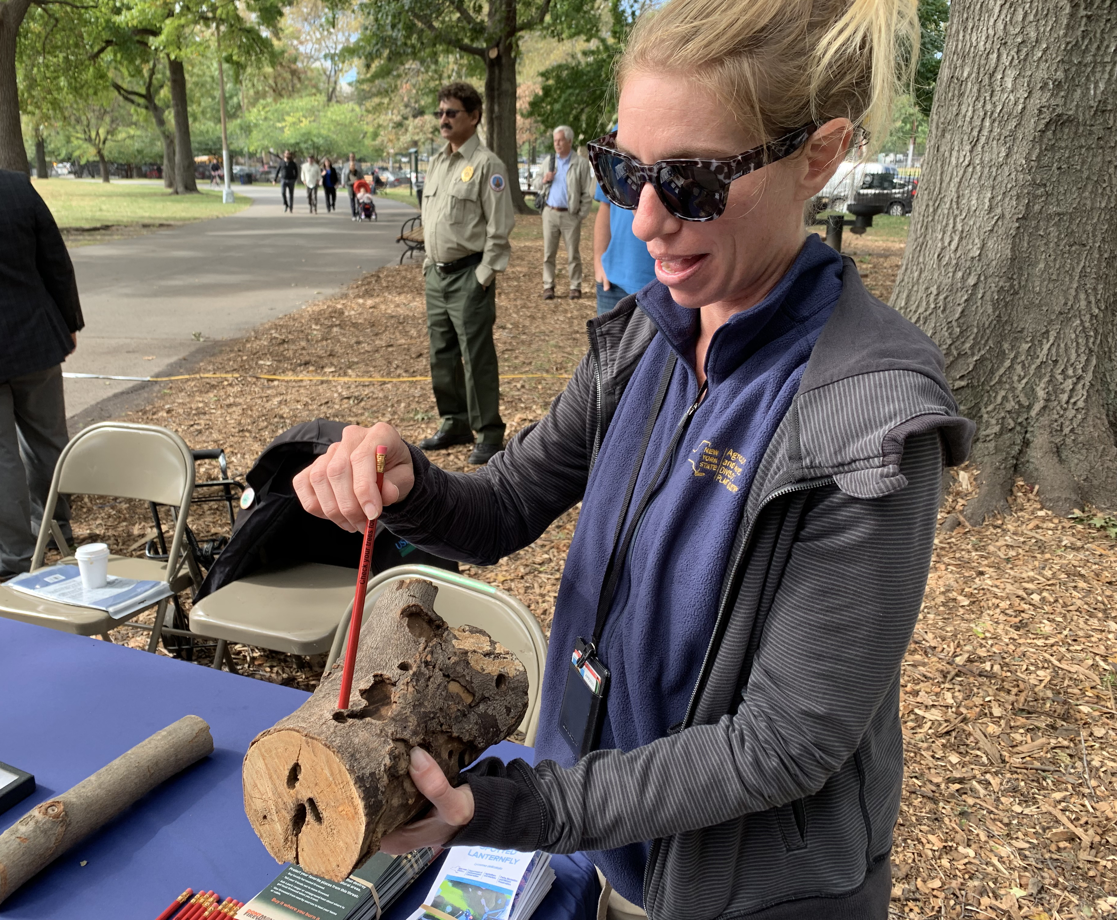 Ashley Ardilo, with the NYS Department of Agriculture, demonstrates the exit holes left in trees by hatching Asian Longhorned Beetles. Eagle photo by Mary Frost