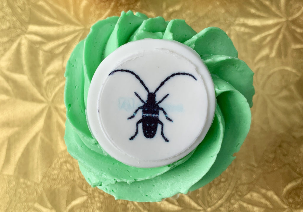 Cupcakes decorated with pictures of Asian Longhorned Beetles were served at a party on Thursday celebrating the elimination of the pests in Brooklyn and Queens. Eagle photo by Mary Frost