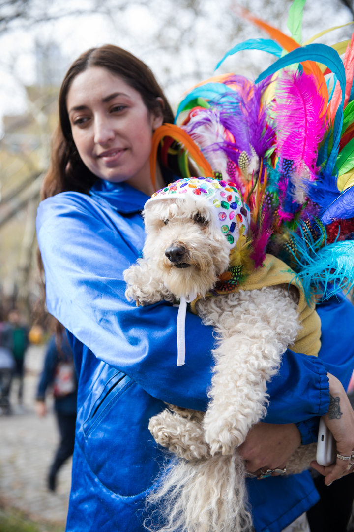 The Great Pupkin Dog Costume Contest. Eagle photo by Paul Frangipane