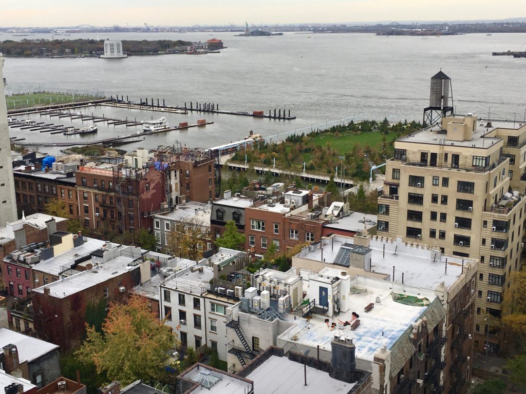 This is a view of Brooklyn Heights and Brooklyn Bridge Park from The Watermark at Brooklyn Heights’ terrace. Eagle photo by Lore Croghan