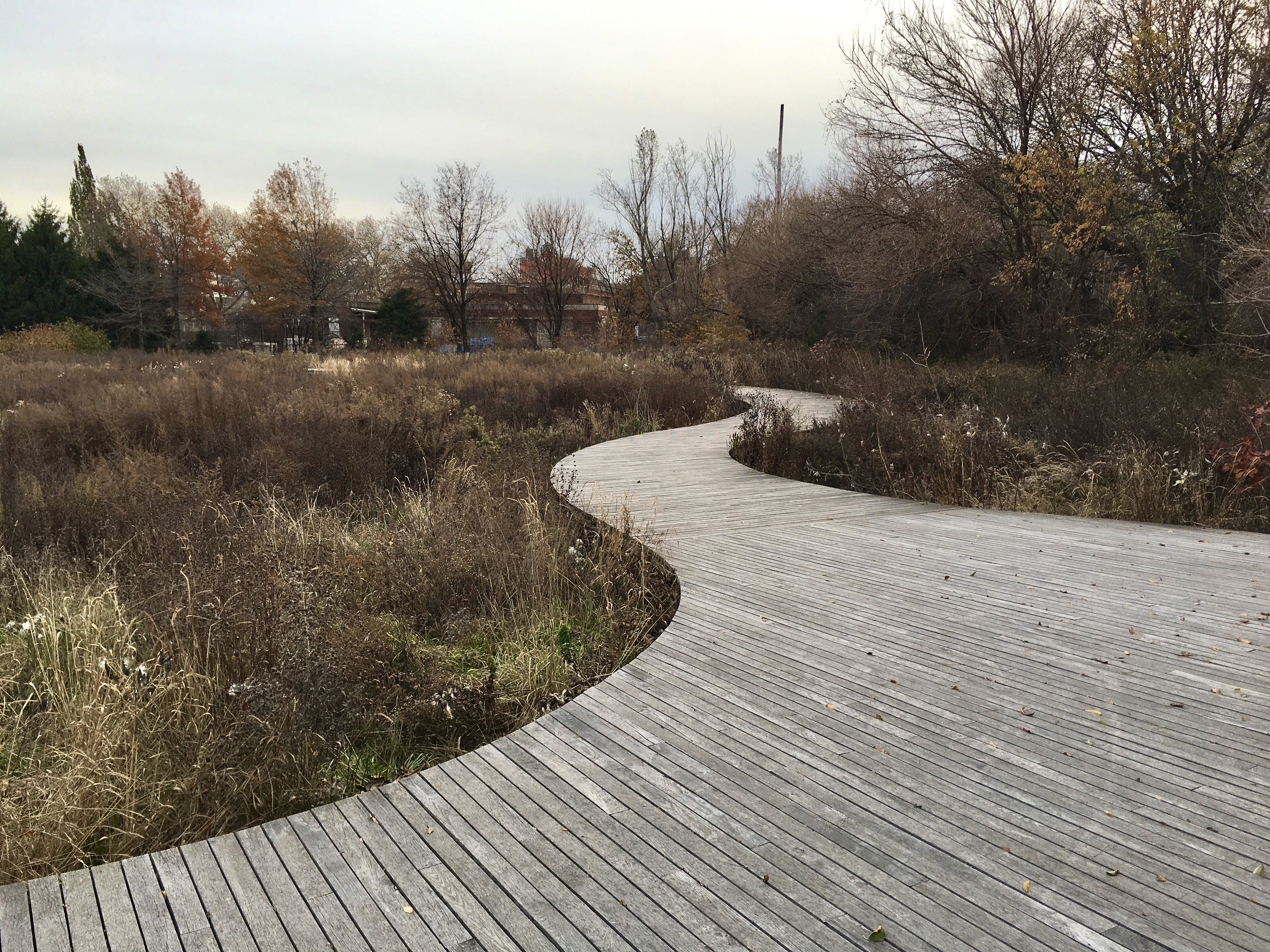 A boardwalk winds its way through the Naval Cemetery Landscape. Photo: Lore Croghan/Brooklyn Eagle