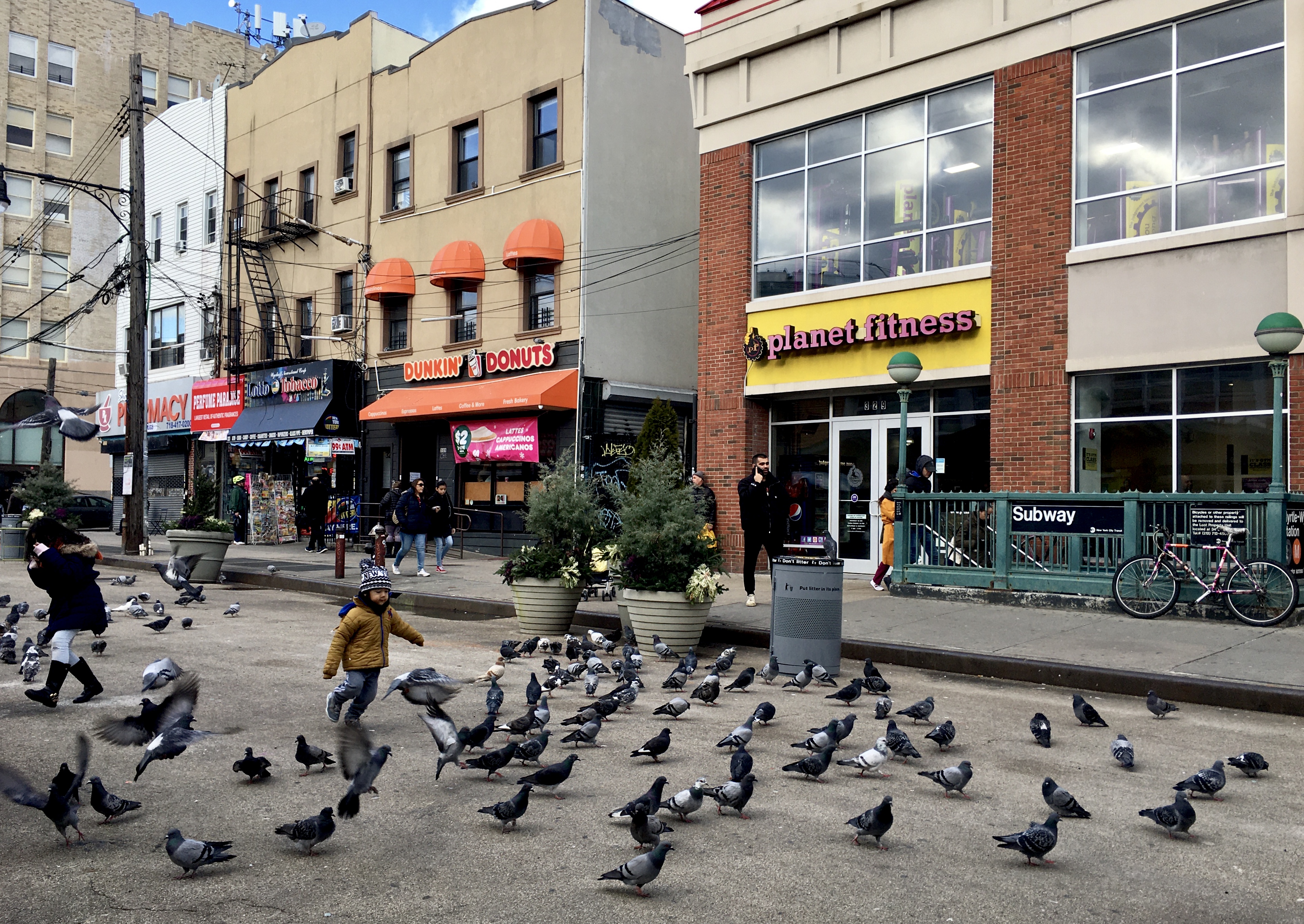 Pigeons make a visit to the pedestrian plaza in front of the Myrtle-Wyckoff Avenues subway station. Photo: Lore Croghan/Brooklyn Eagle