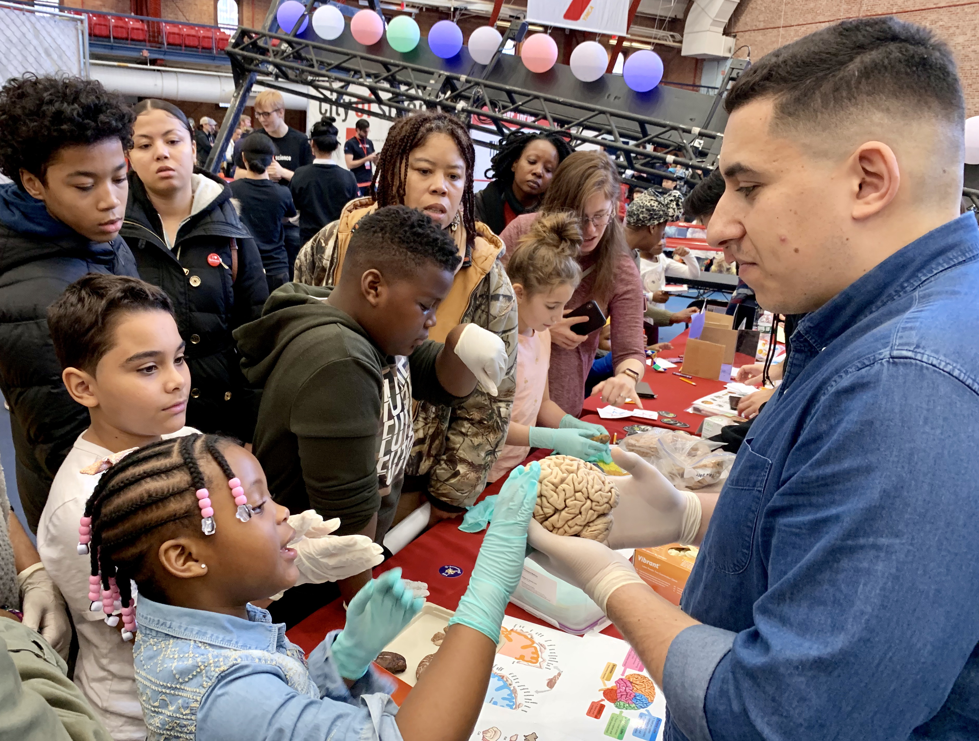 “That’s a real brain!” Kids learned neuroscience with braiNY. Photo: Mary Frost/Brooklyn Eagle
