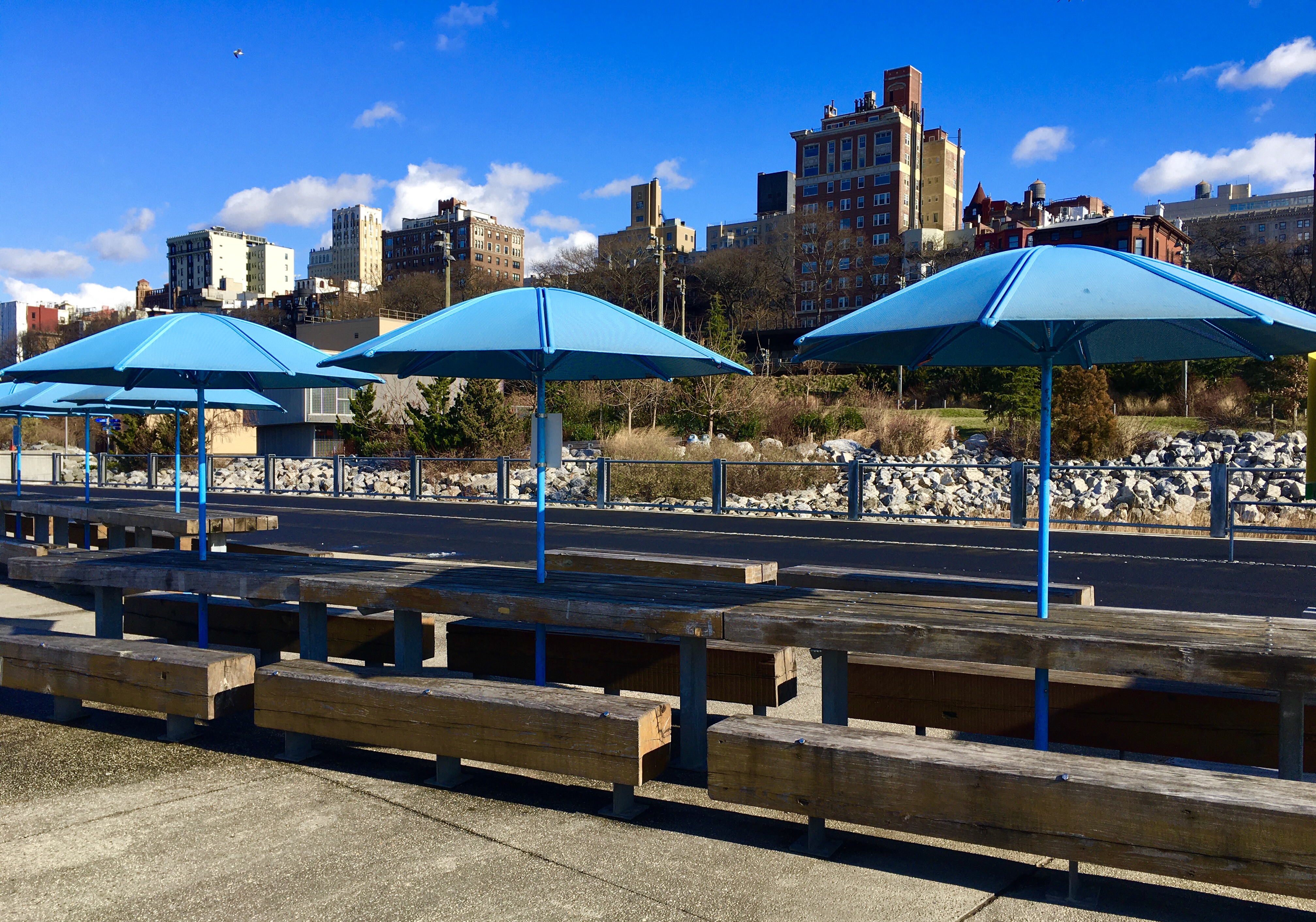 Blue umbrellas brighten up the Picnic Peninsula on Pier 5 at Brooklyn Bridge Park. Photo: Lore Croghan/Brooklyn Eagle