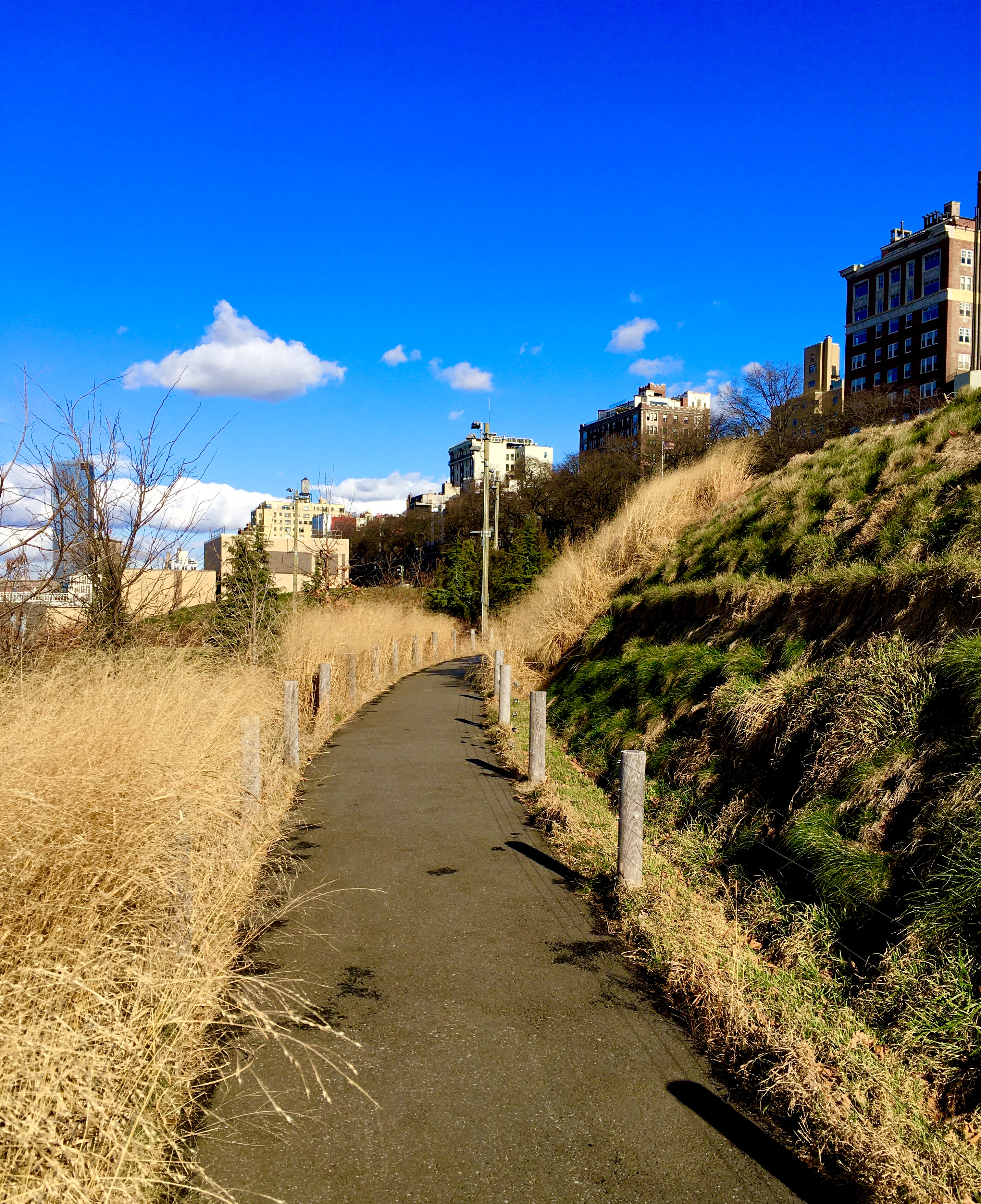 This path wends its way along a berm on Pier 5 in Brooklyn Bridge Park. Photo: Lore Croghan/Brooklyn Eagle