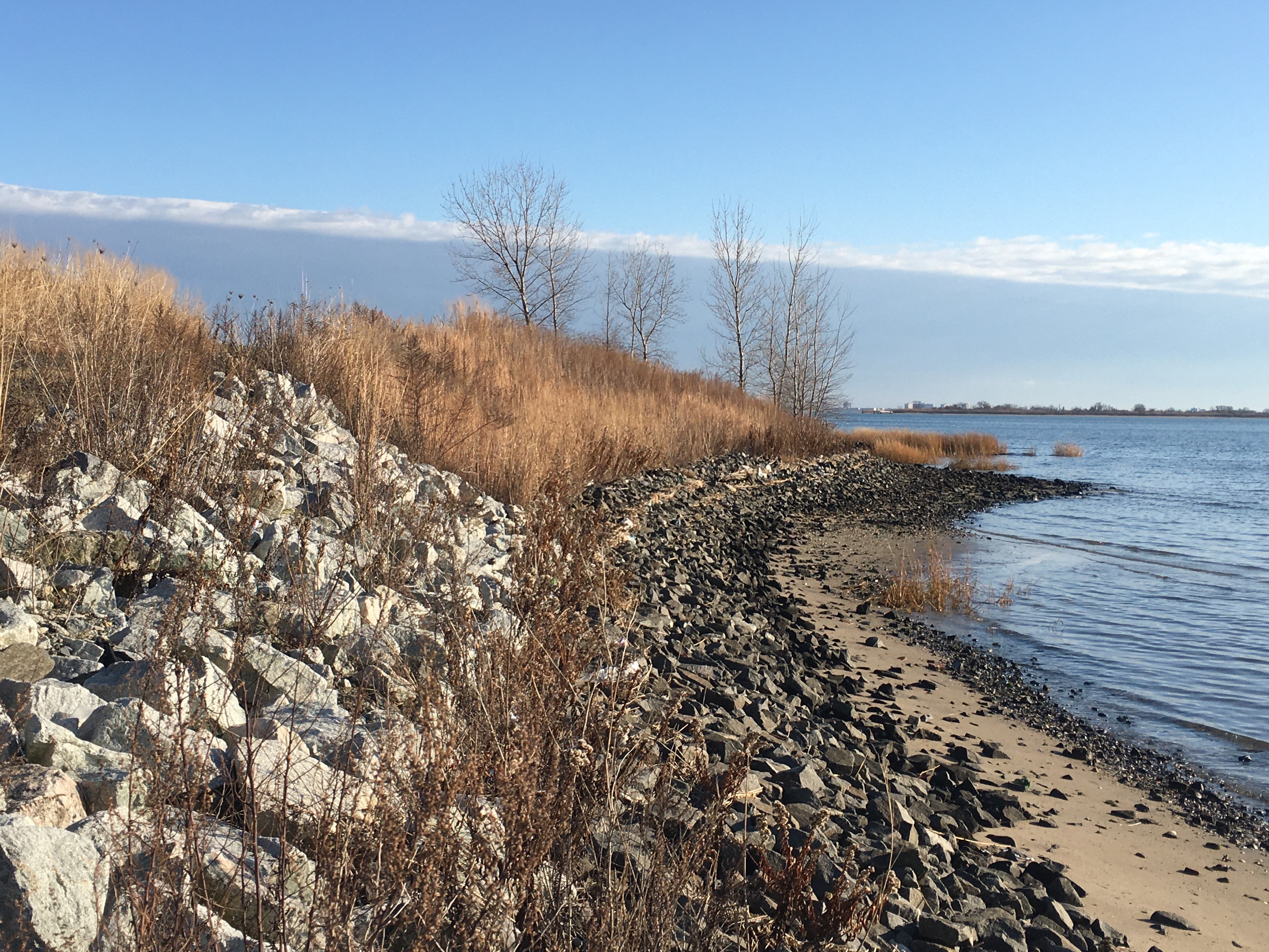 This is the shoreline of Fresh Creek as seen from Penn Ring Drive. Photo: Lore Croghan/Brooklyn Eagle