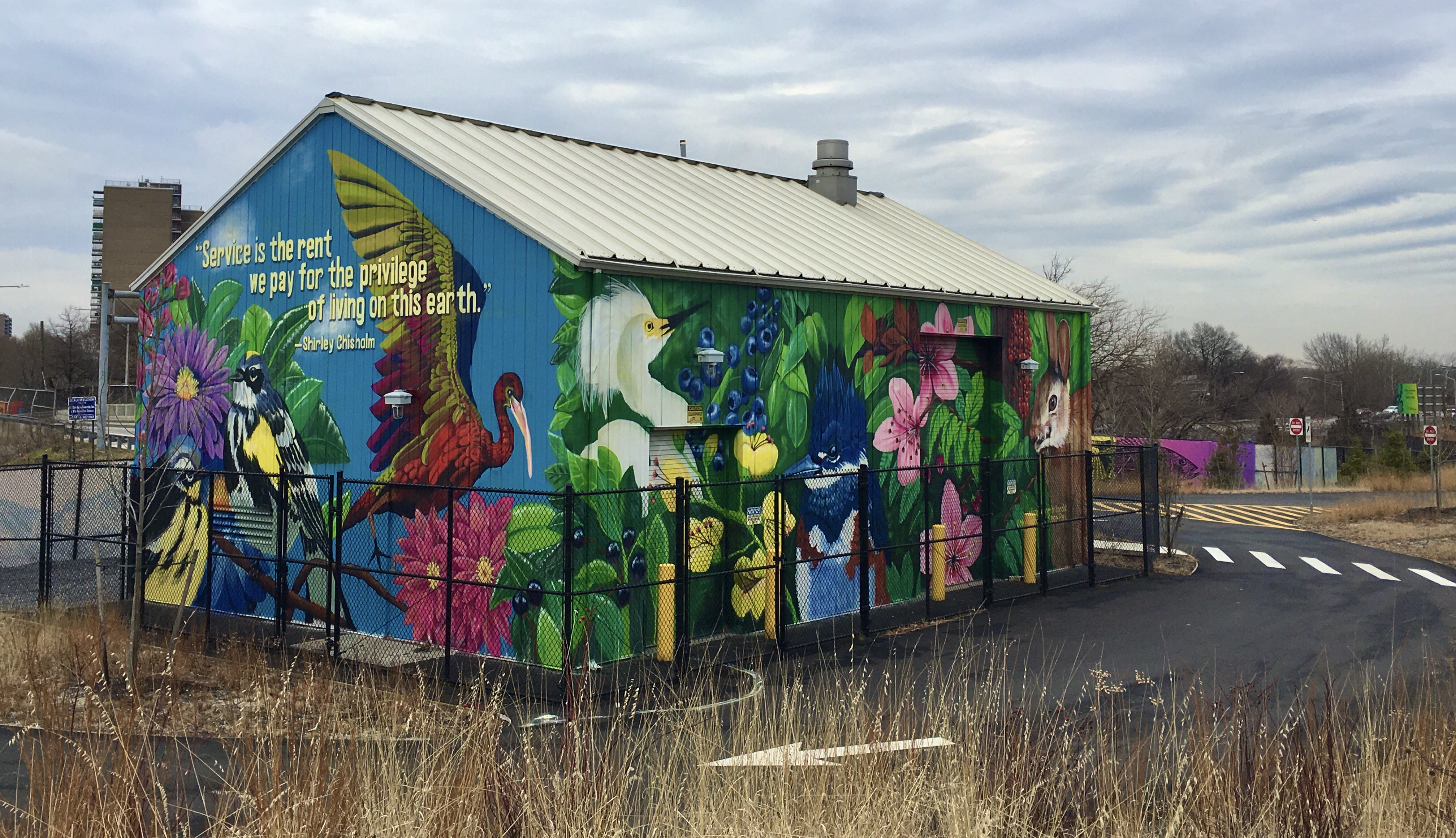 Danielle Mastrion’s murals depict some of the plants, birds and animals that populate Shirley Chisholm State Park. Photo: Lore Croghan/Brooklyn Eagle