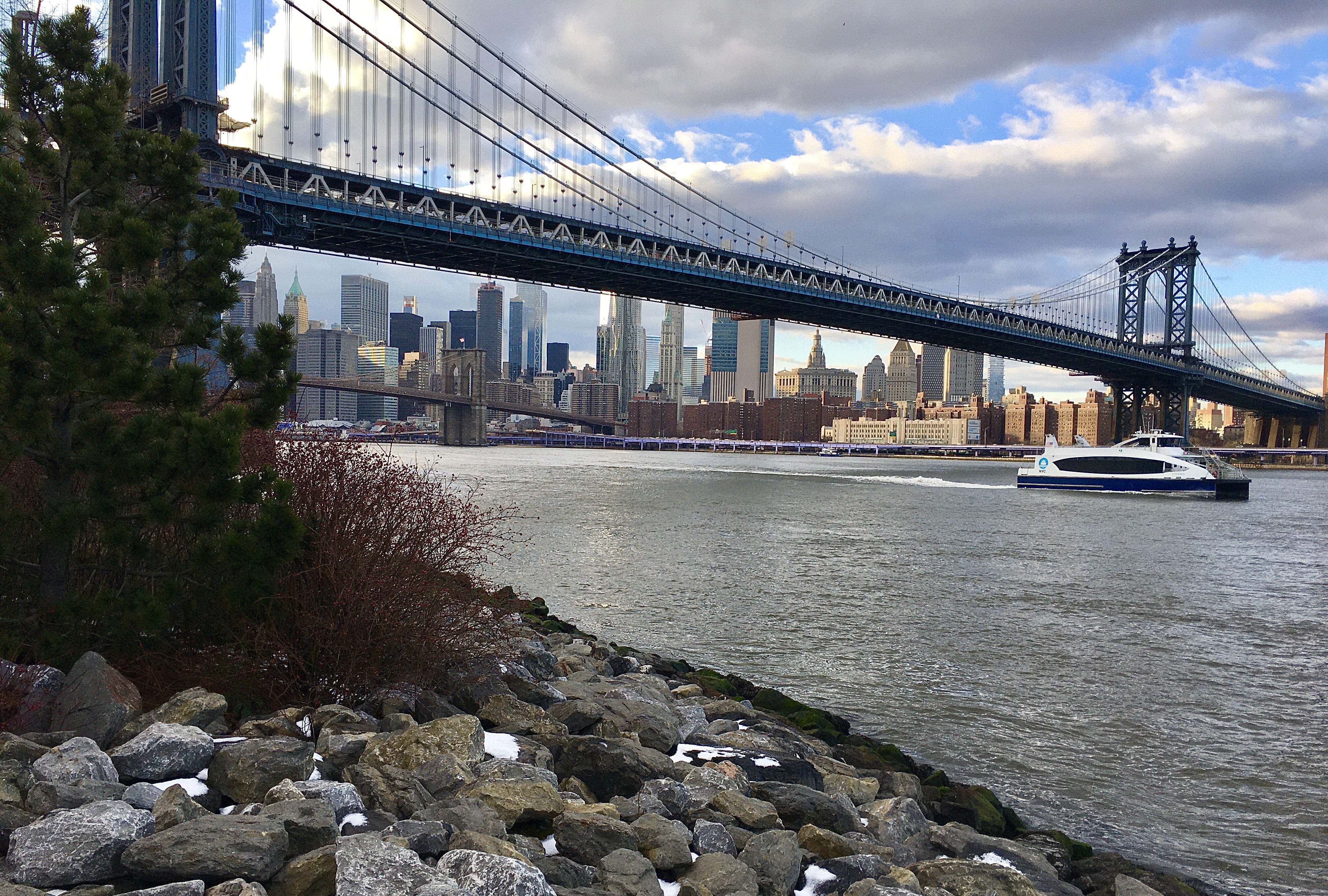 There’s the NYC Ferry, as seen from Brooklyn Bridge Park’s shoreline. Photo: Lore Croghan/Brooklyn Eagle