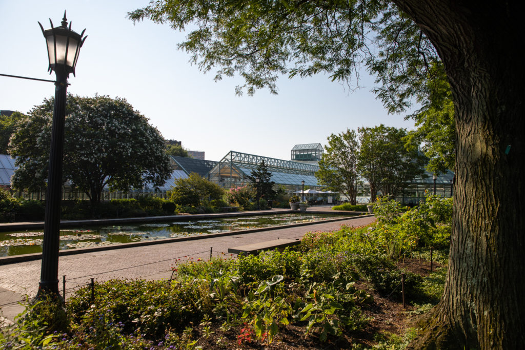 Brooklyn Botanic Garden is renewing its campaign against proposed development that would cast ruinous shadows on its greenhouses. Photo: Paul Frangipane/Brooklyn Eagle