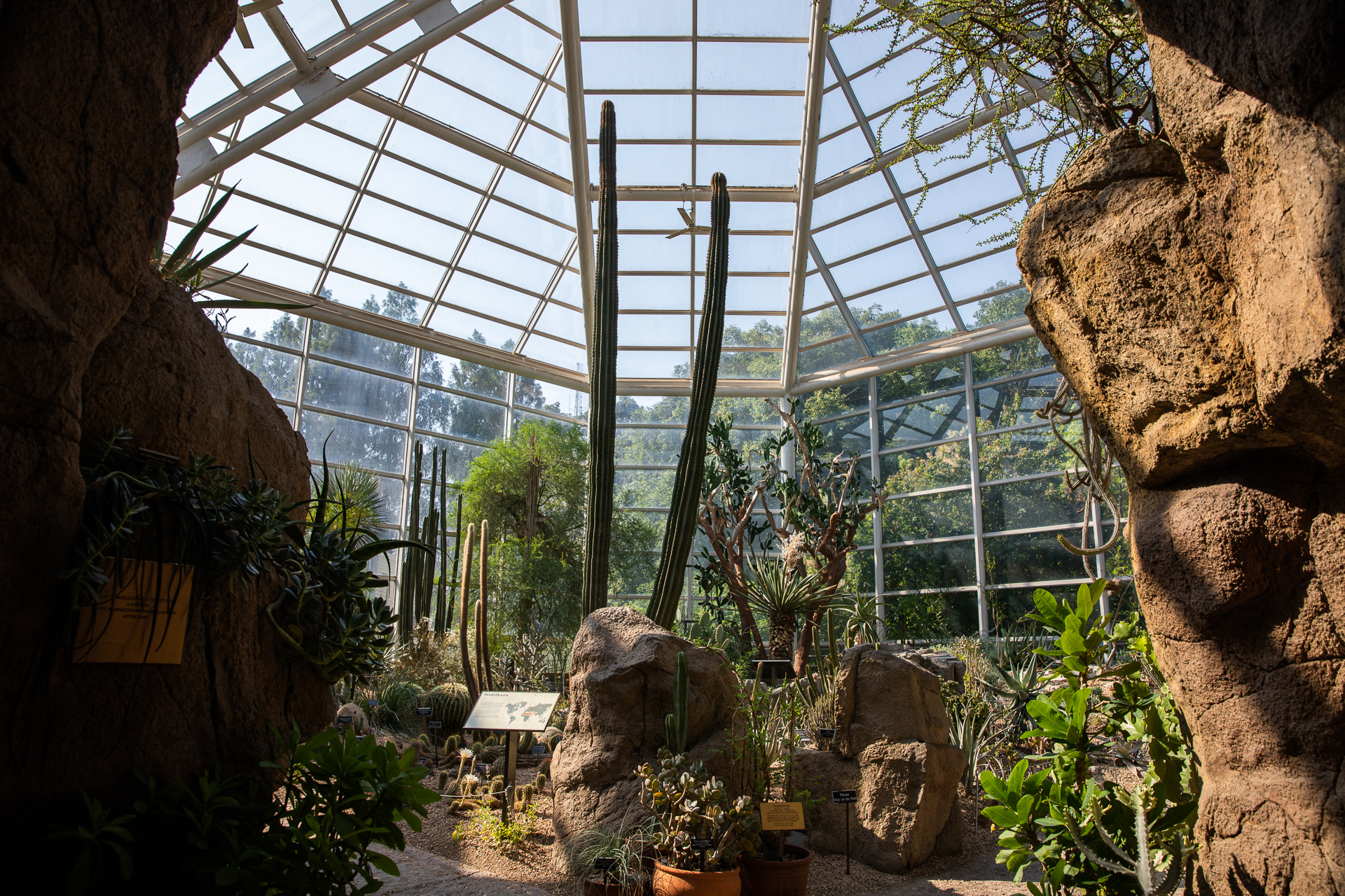 Greenhouse plants will be put at risk if towers are constructed 150 feet away from Brooklyn Botanic Garden. Photo: Paul Frangipane/Brooklyn Eagle