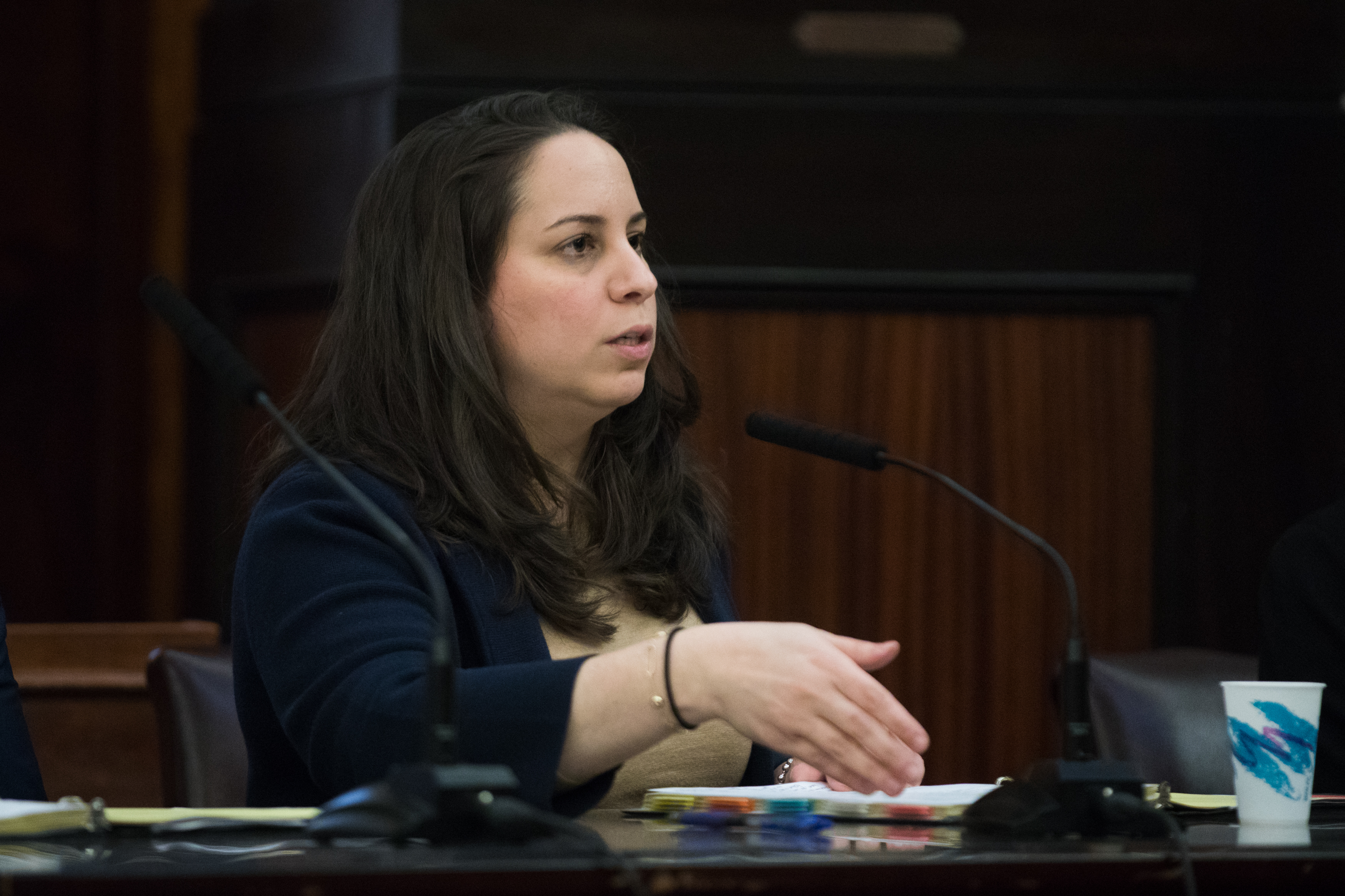 Buildings Department Commissioner Melanie La Rocca testifies at a City Council hearing. Photo: Paul Frangipane/Brooklyn Eagle