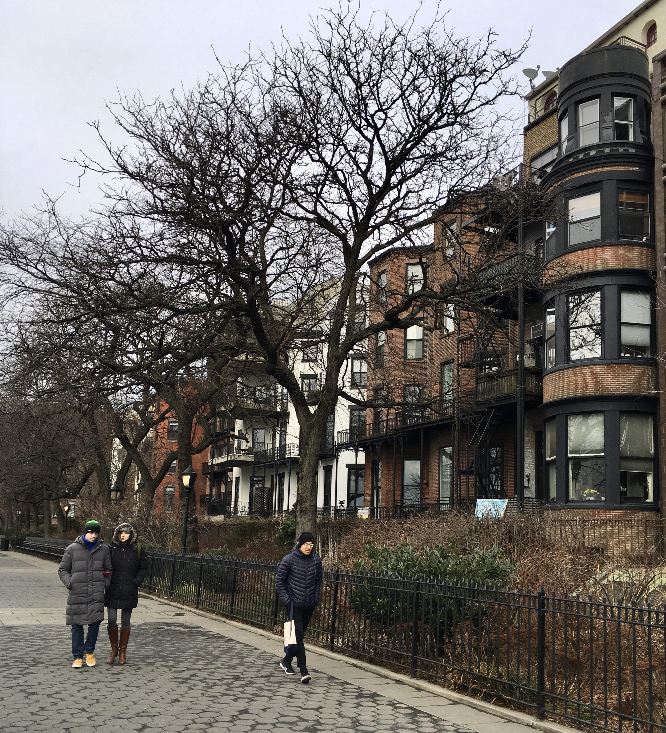 The proposed BQE bypass would have run right alongside these homes overlooking the Promenade. Photo: Lore Croghan/Brooklyn Eagle