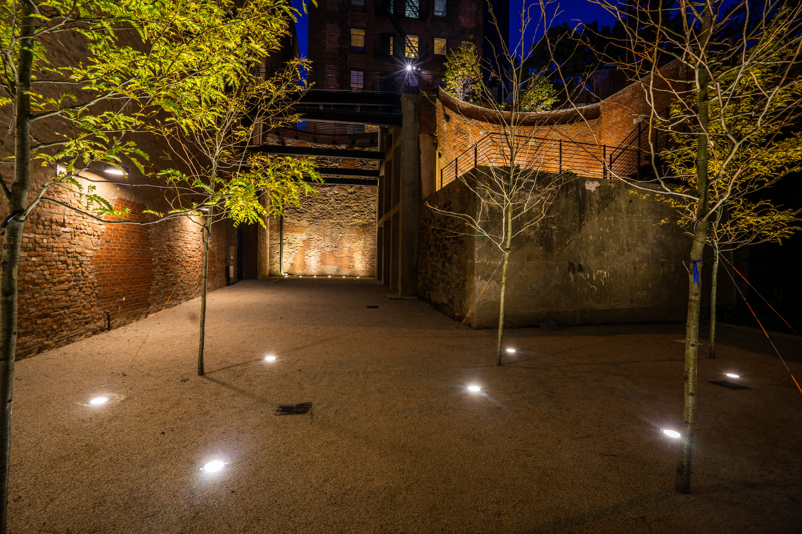 Lighting created by One Lux Studio adds visual drama to a grove of trees behind Panorama’s 58 Columbia Heights. Photo by Steven Tupu/Terrain-NYC