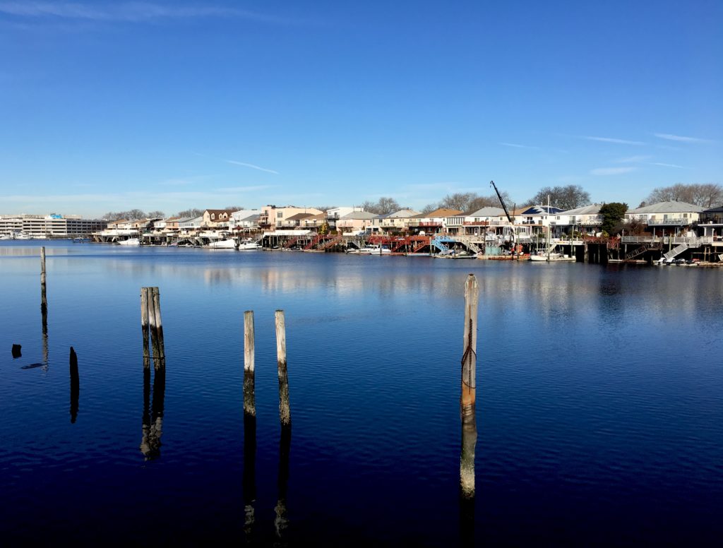 Mill Basin’s shoreline is mighty scenic. Photo: Lore Croghan/Brooklyn Eagle