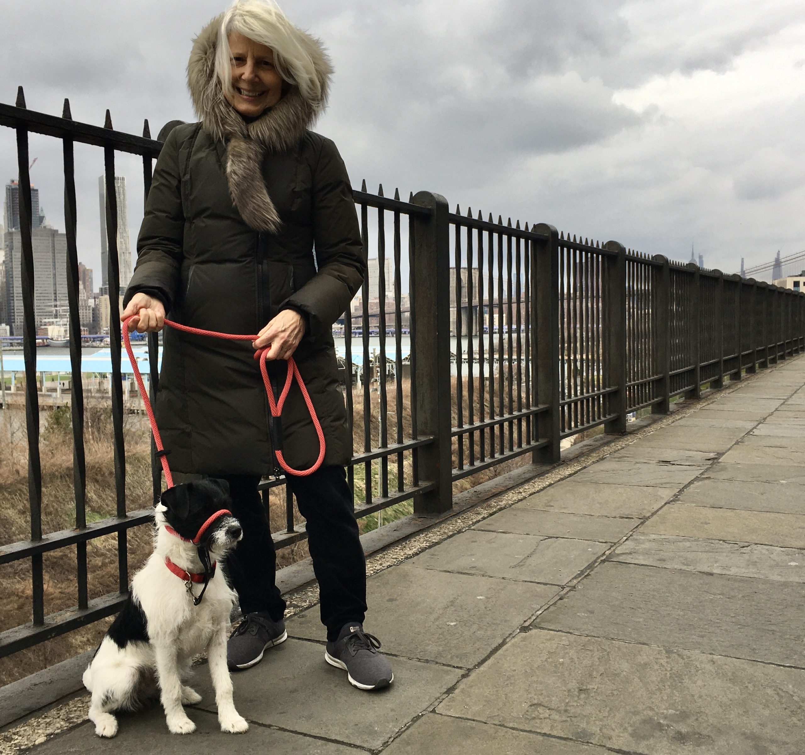 Carolyn Zintel and her dog Dally take daily walks on the Promenade. Photo: Lore Croghan/Brooklyn Eagle