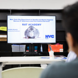 The New York City Department of Health and Mental Hygiene holds a community rat prevention training, or rat academy at the Marcy Branch of Brooklyn Public Library on Feb. 20, 2020. Photo: Paul Frangipane/Brooklyn Eagle
