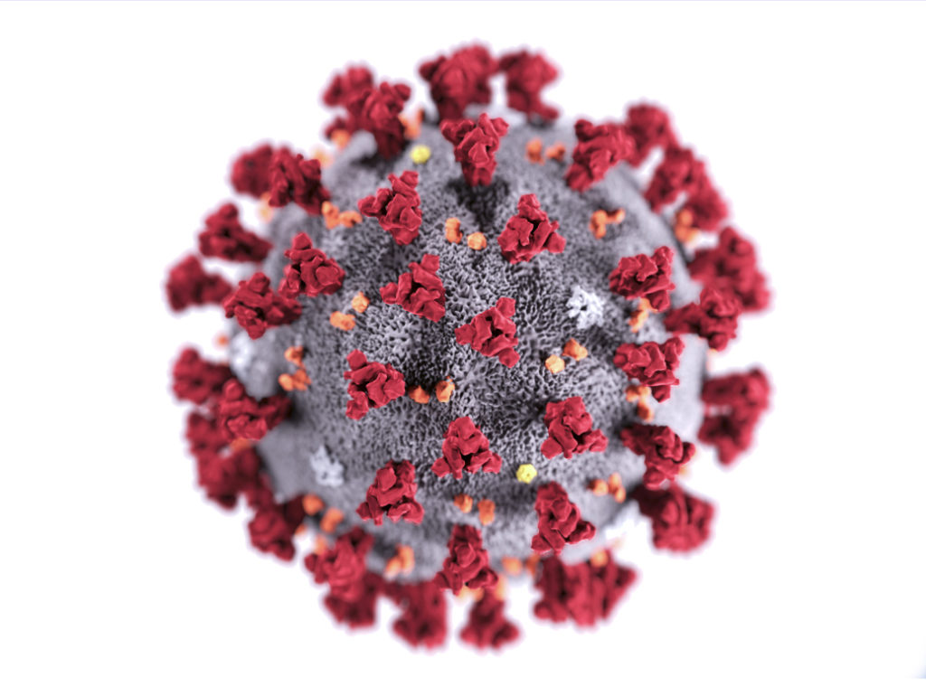 This graphic shows the structure of the 2019 Novel Coronavirus (2019-nCoV), named for the spikes on the outer surface that look like a corona. Graphic: CDC